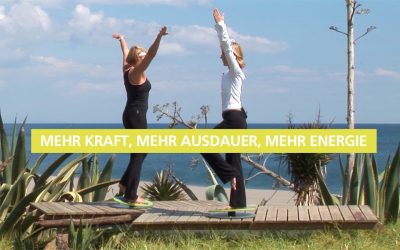 Neue Übungsserie “New Energy Coordination” für die MFT Fit Disc