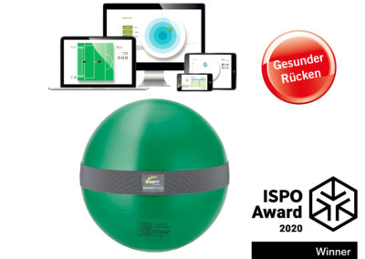MFT Balance Sensor Sit Ball