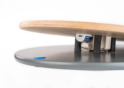 Bluetooth-Sensor der MFT Challenge Disc 2.0 Nature